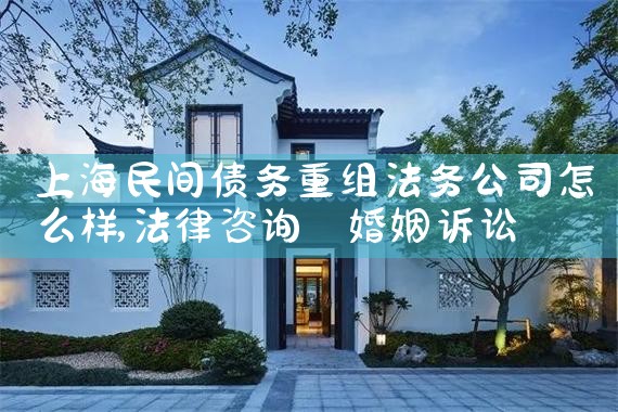 上海小额债务重组如何起诉