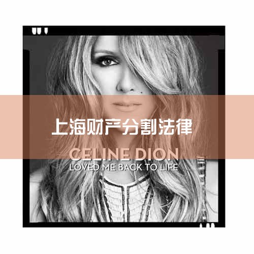 ����ͨ�������Ϻ���������ʦ�������ĵ绰��ѯ�Ʋ��ָ����⣬�绰�����������ʦ�������Ĺٷ���վ�������Ϸ�����ѯƽ̨���ҵ����Ʋ��ָ���һ�����ӵĹ��̣���������顢�Ų��̳е�����¡��Ϻ�����ʦ�ڲƲ��ָ��ӵ