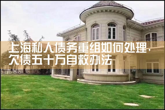 上海债务重组利弊