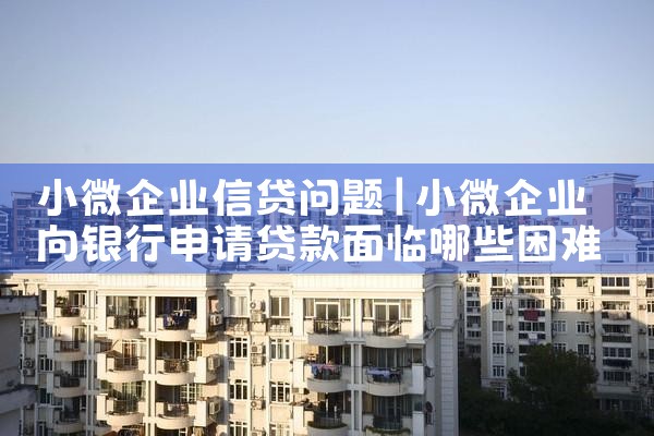小微企业信贷问题