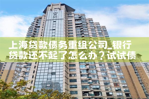 上海金融机构债务重组案例分析