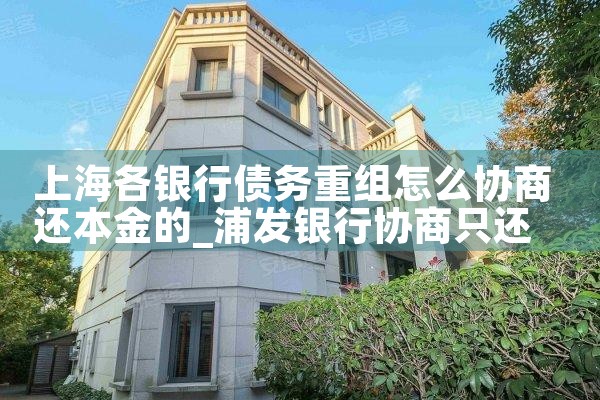 上海银行债务重组有哪些方式和方法