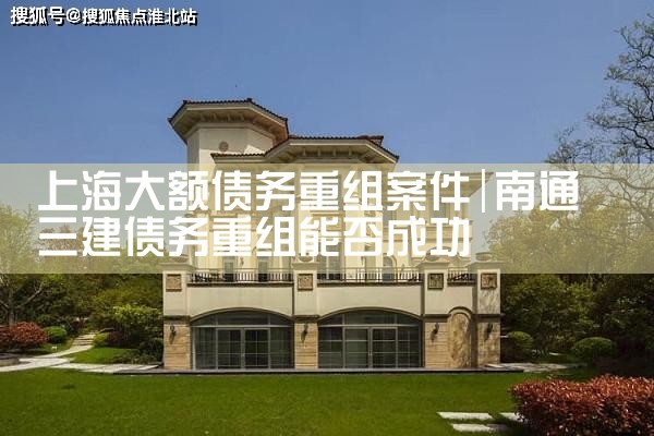 上海大额债务重组案件