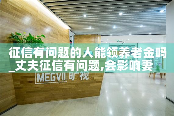 征信有问题的人能领养老金吗|养征信|债务重组