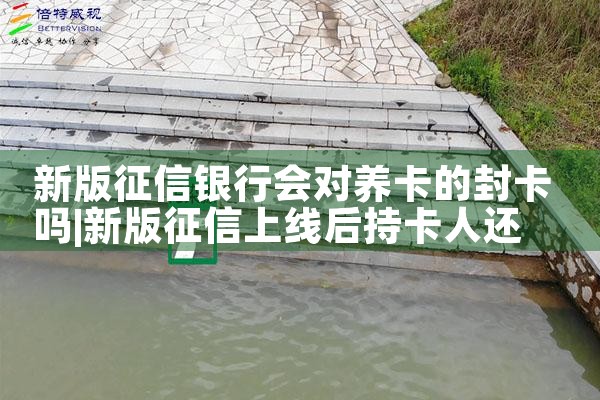 新版征信银行会对养卡的封卡吗|养征信|债务重组