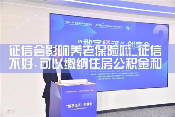 开通养老金账户会查征信吗怎么查询|养征信|债务重组