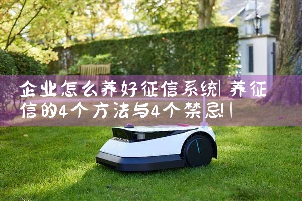 企业怎么养好征信系统|养征信|债务重组