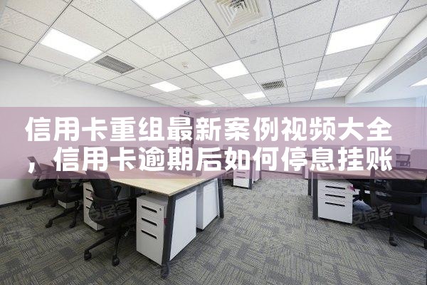 信用卡重组最新案例视频大全