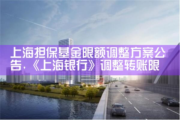 上海担保基金限额调整方案公告