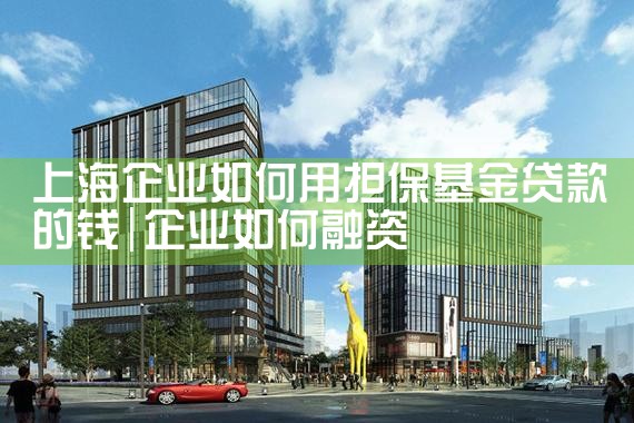 上海担保基金主任工资待遇