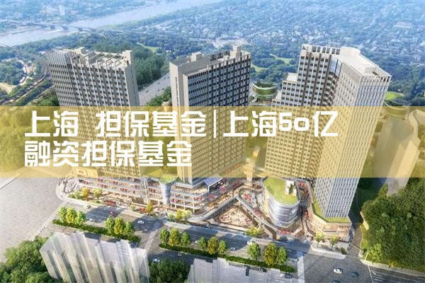 上海中小微融资担保基金公司排名