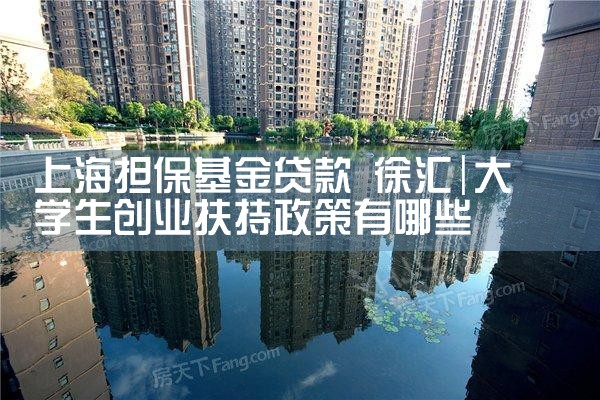 上海担保基金贷款 批量放贷规定