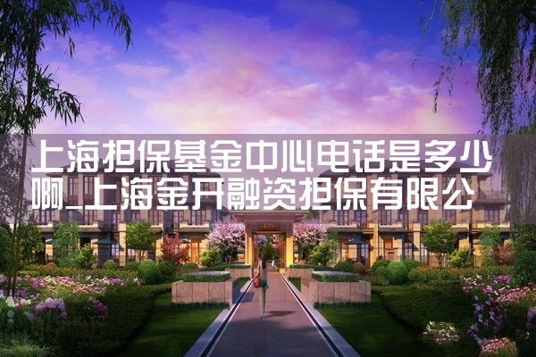 上海担保基金中心电话号码是多少