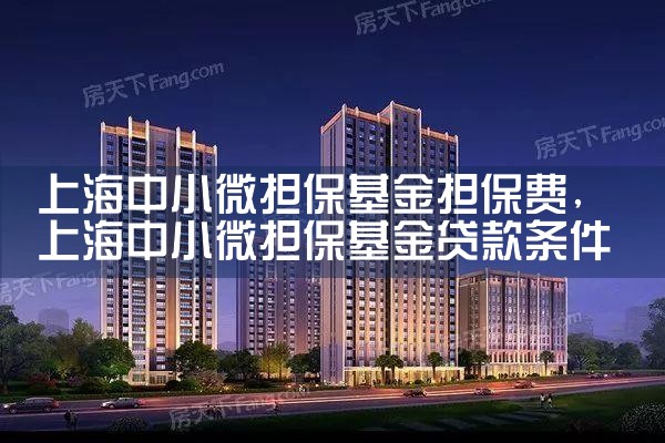上海中小微贷款担保基金代偿比例