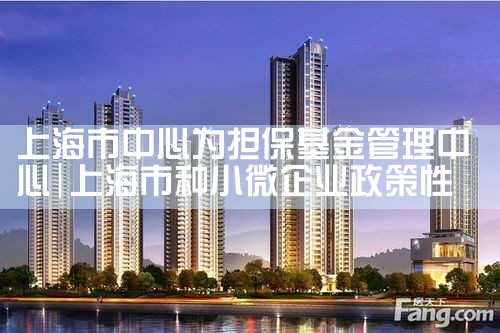 上海企业融资担保基金管理规定