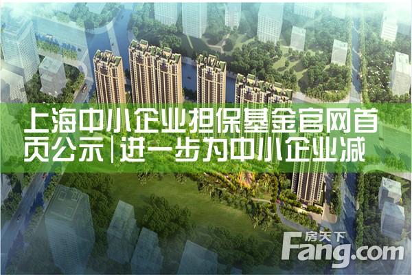 上海中小企业担保基金官网首页公示