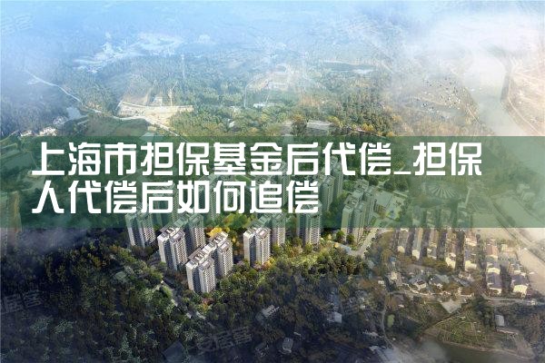 上海市融资担保基金