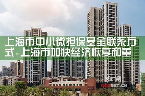 上海中小微贷款担保基金