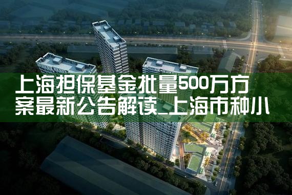 上海担保基金限额调整方法最新
