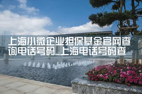 上海中小微企业政策性担保基金规模是多少亿