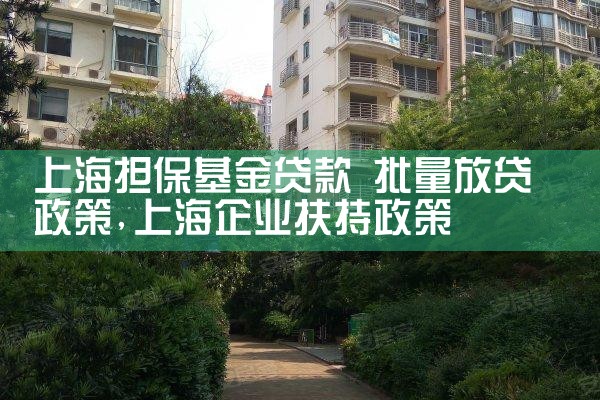 上海中小微企业担保基金有哪几家