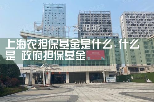 上海担保基金全称叫啥来着啊