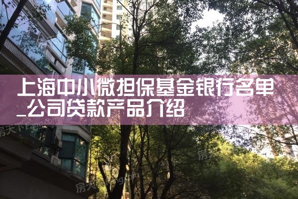 上海担保基金管理公司