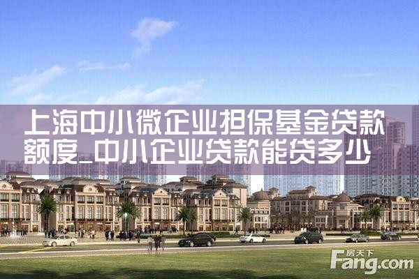 上海嘉定区担保基金补贴多少