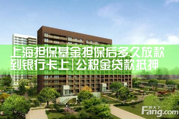 上海担保基金担保后多久放款到银行卡上