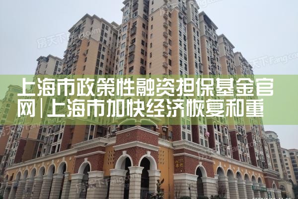 上海政策性中小微担保基金公司