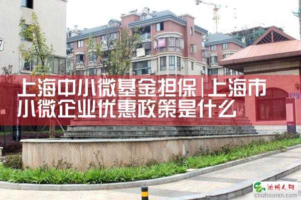 上海市中小微担保基金不良率是多少钱