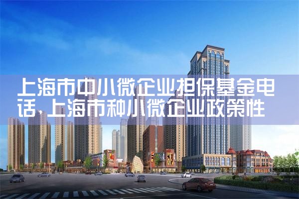 上海双创担保基金