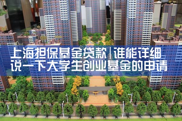 上海担保基金贷款