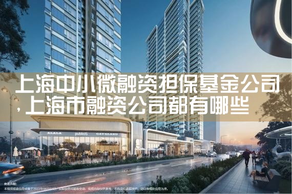 上海市担保基金网址