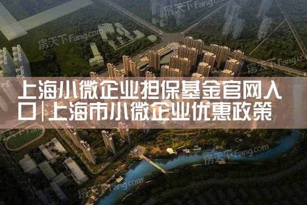 上海小微企业担保基金官网入口