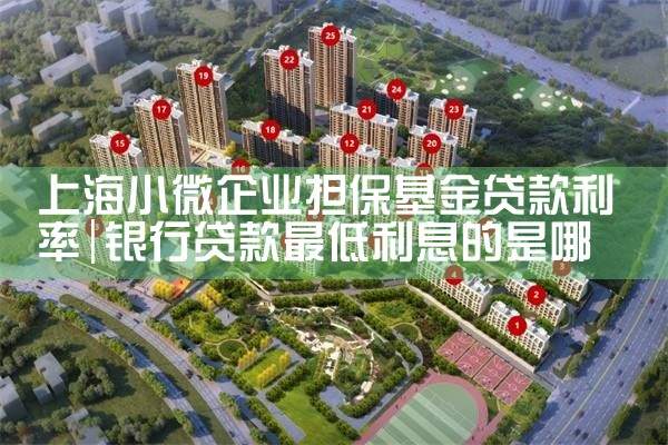 上海小微企业担保基金贷款额度是多少