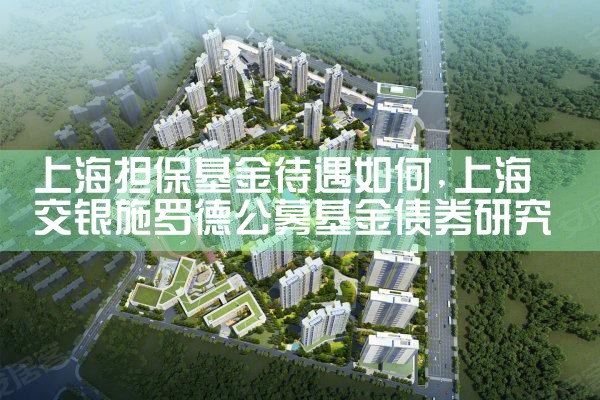 上海担保基金定制公司排名前十