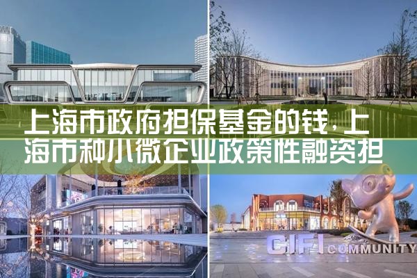 上海市中小微担保基金不良率是多少啊