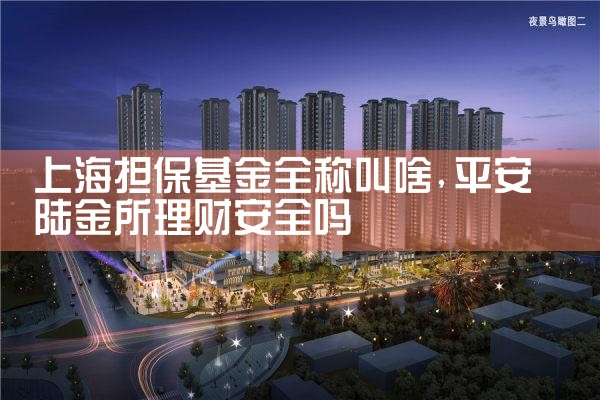 上海中小微企业政策性融资担保基金招聘公告