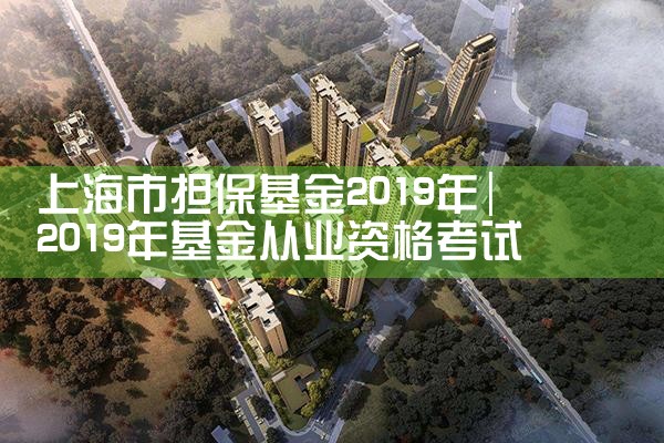 上海市担保基金2019年