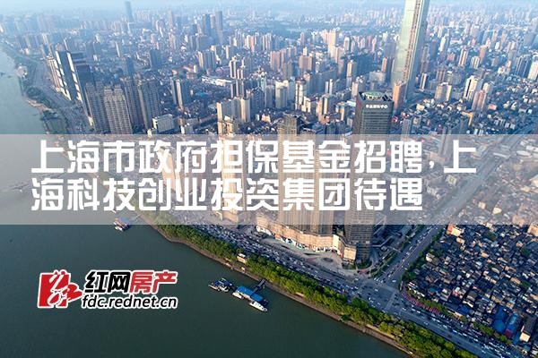上海担保基金全称是什么呢是什么