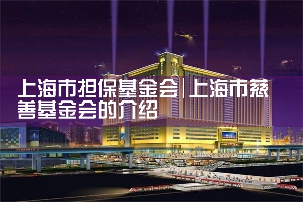 上海银行推出担保基金线上快贷