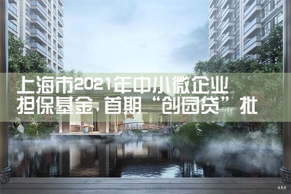 上海中小微企业融资担保基金