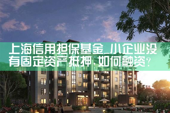 上海小企业政策性融资担保基金规模多少