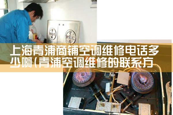 上海嘉定厂房空调维修电话|同城维修客服中心