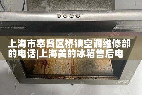 上海市奉贤区桥镇空调维修部的电话|24小时维修电话