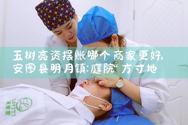 玉树亮资摆账哪个商家更好