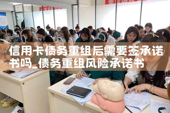 �������ÿ�ծ�������ƴ����취����