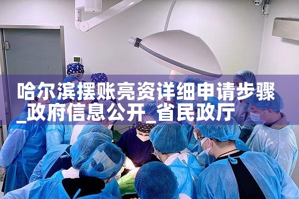 哈尔滨摆账亮资详细申请步骤