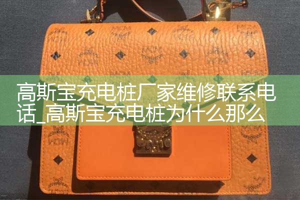 高斯宝充电桩厂家维修联系电话